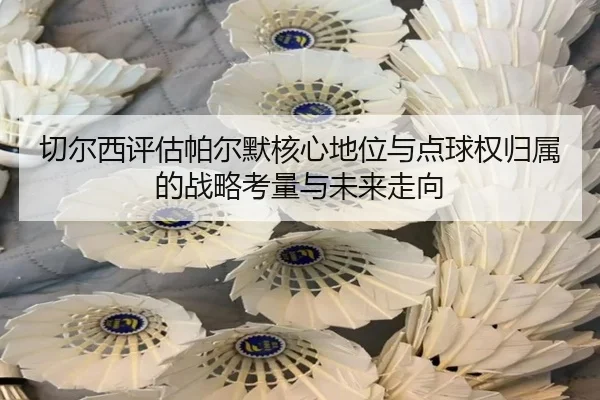 切尔西评估帕尔默核心地位与点球权归属的战略考量与未来走向
