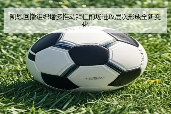 img_1785148144090_2368_1_490.jpg